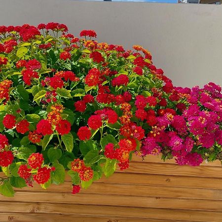 The Little Big Apartment In The Heart Of Heraklion Eksteriør bilde