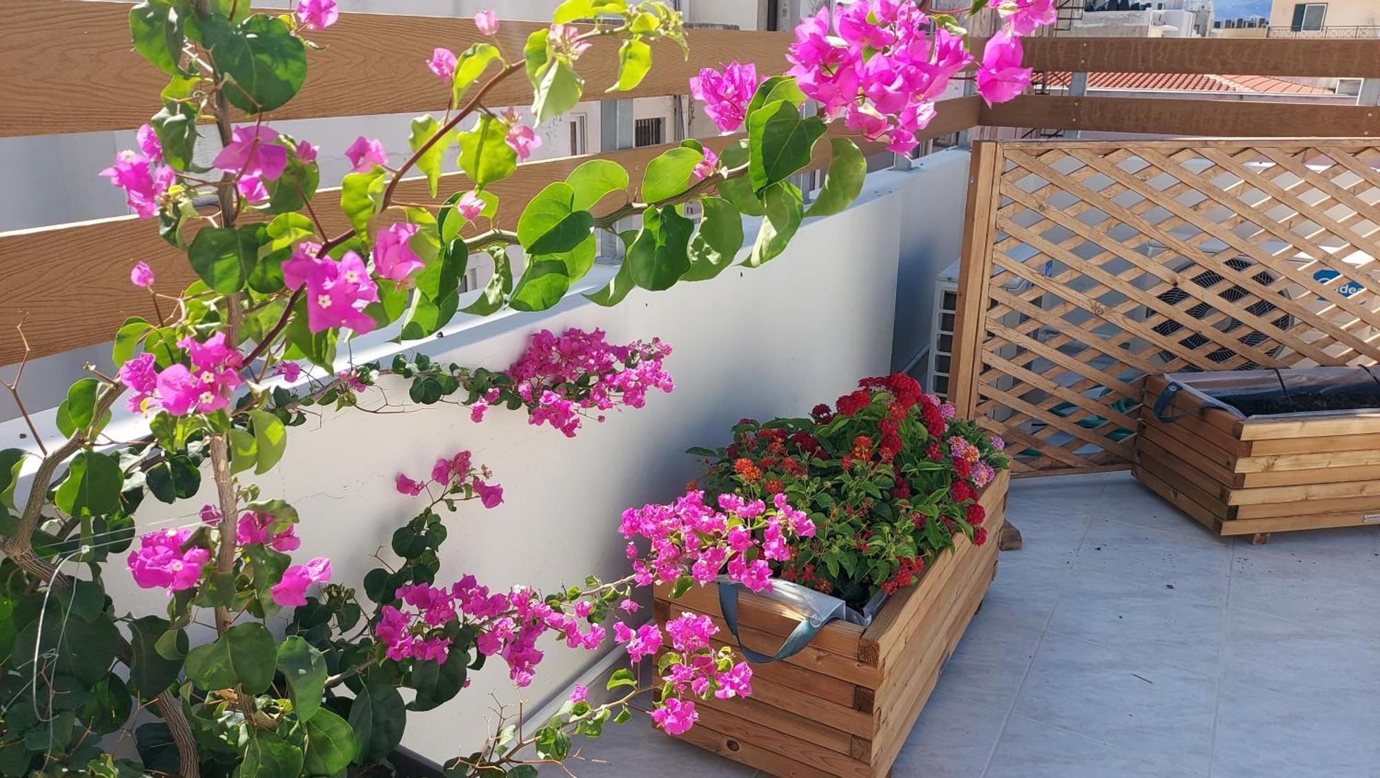 The Little Big Apartment In The Heart Of Heraklion Eksteriør bilde