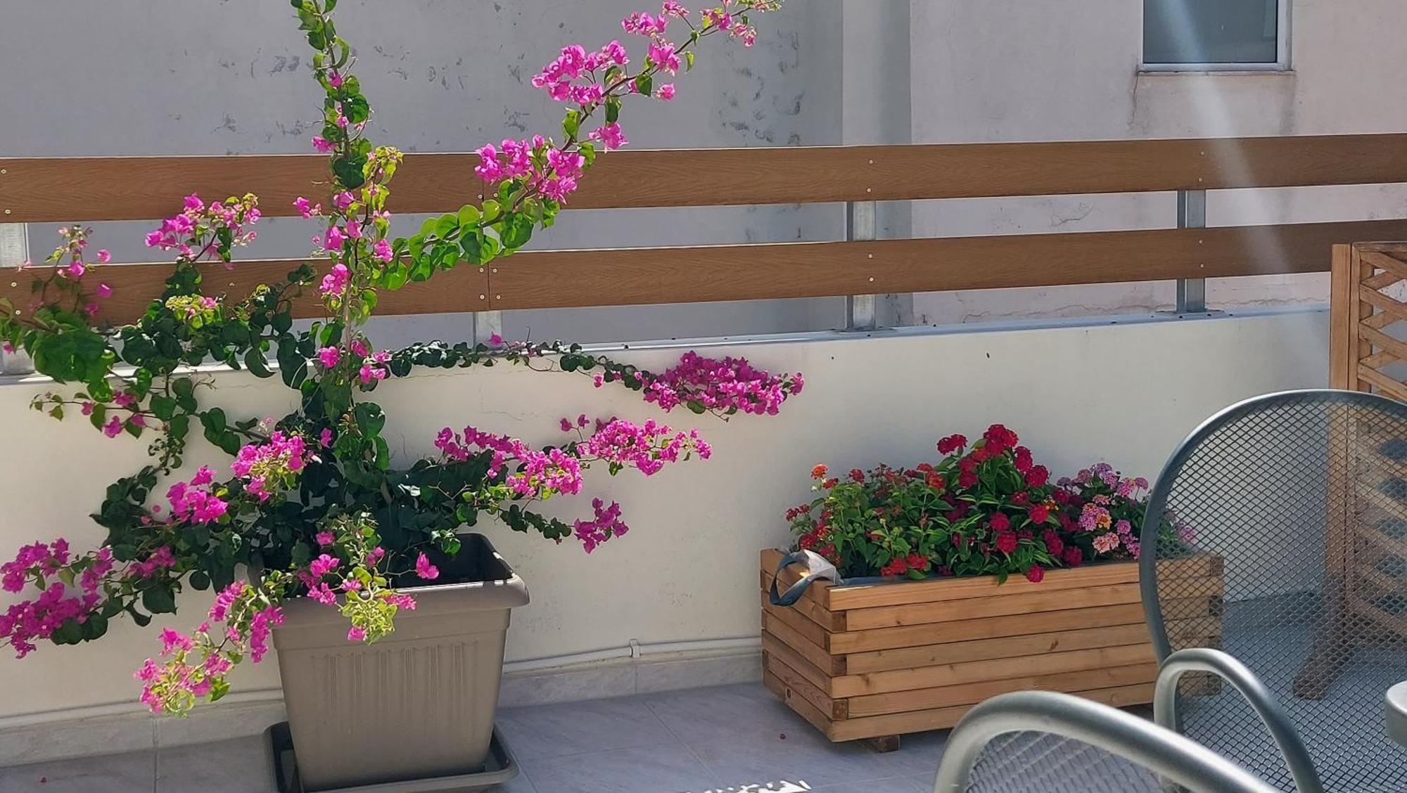 The Little Big Apartment In The Heart Of Heraklion Eksteriør bilde